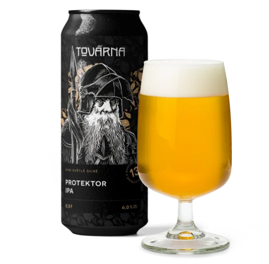 Protektor IPA 13°